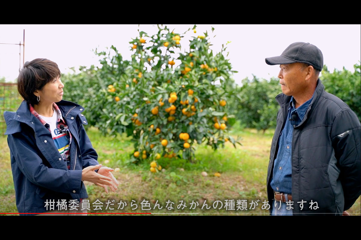 movie20-3