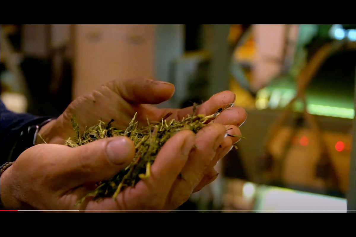 movie21-2