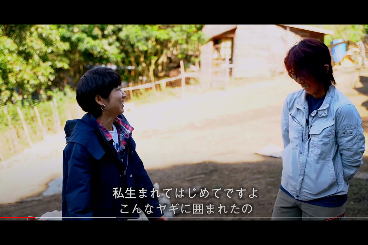 movie24-2