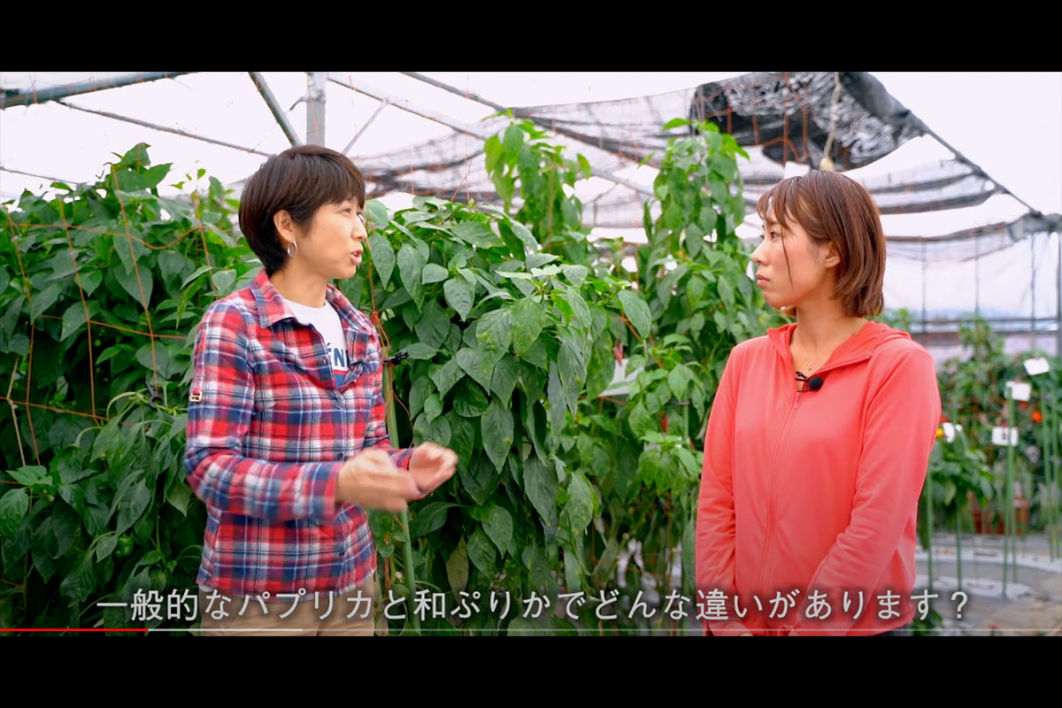 movie25-2