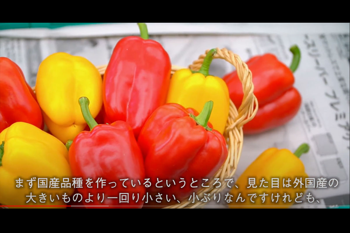 movie25-3